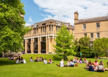 From Student to High Earner: UK Jobs Paying Well