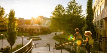 Top Skills Students Use to Earn Six Figures in the USA